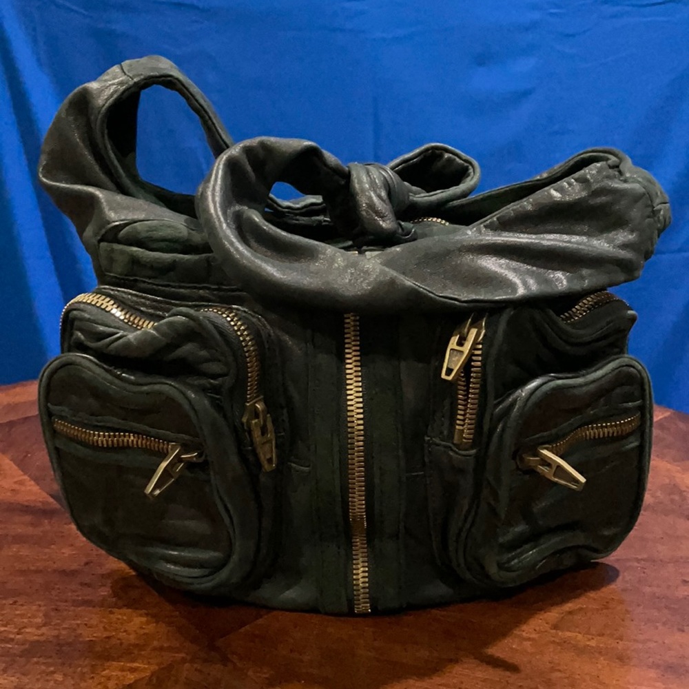 Alexander WANG authentic Donna hobo bag